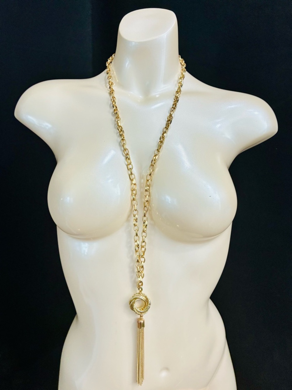 Long Gold Tassel Pendant Necklace - Everyday Elegant Women's  Casual Chain LNWOT